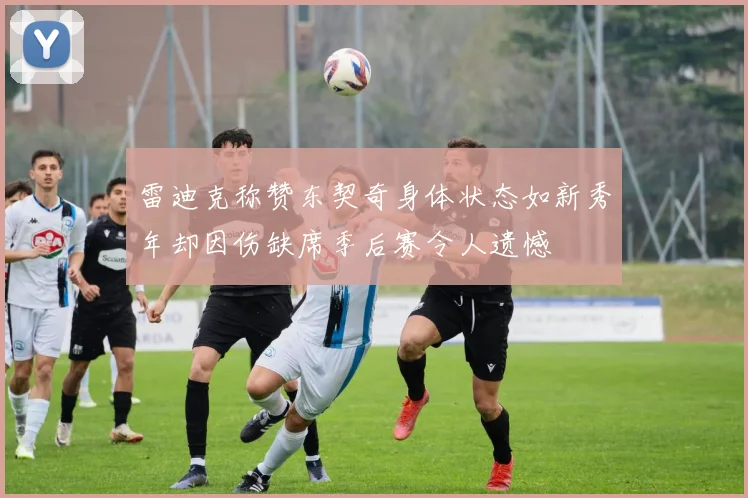 雷迪克称赞东契奇身体状态如新秀年却因伤缺席季后赛令人遗憾