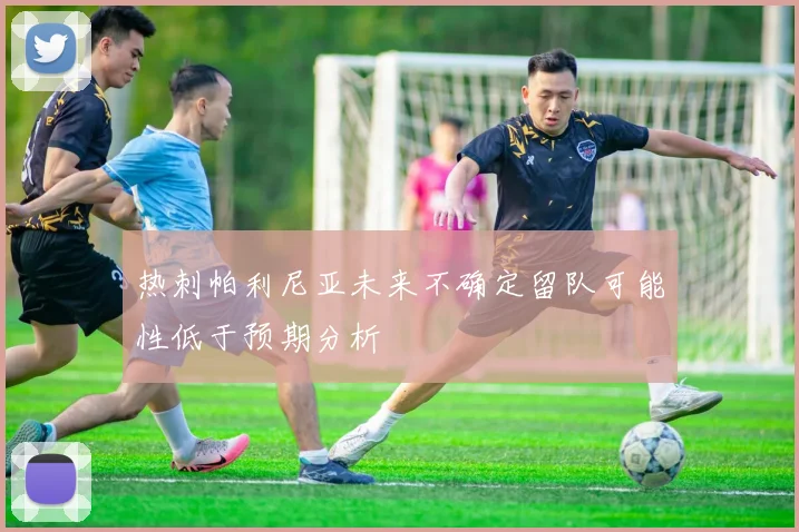 热刺帕利尼亚未来不确定留队可能性低于预期分析